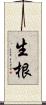 生根 Scroll