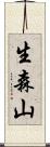 生森山 Scroll