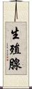 生殖腺 Scroll