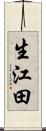 生江田 Scroll