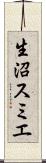 生沼スミエ Scroll