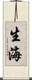 生海 Scroll
