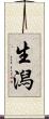 生潟 Scroll