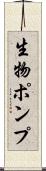 生物ポンプ Scroll