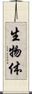 生物体 Scroll