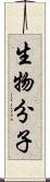 生物分子 Scroll