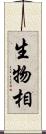 生物相 Scroll