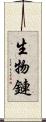 生物鏈 Scroll