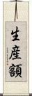 生産額 Scroll
