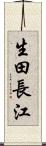 生田長江 Scroll