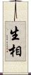 生相 Scroll