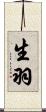 生羽 Scroll