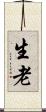 生老 Scroll