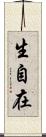 生自在 Scroll