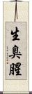 生臭 Scroll