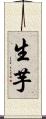 生芋 Scroll