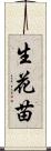 生花苗 Scroll