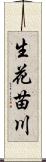生花苗川 Scroll