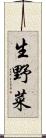 生野菜 Scroll