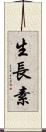 生長素 Scroll