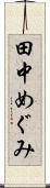 田中めぐみ Scroll