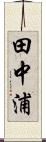 田中浦 Scroll