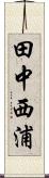 田中西浦 Scroll