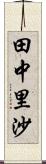 田中里沙 Scroll