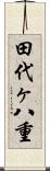 田代ヶ八重 Scroll
