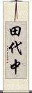 田代中 Scroll