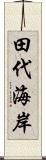 田代海岸 Scroll
