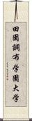 田園調布学園大学 Scroll