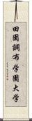 田園調布学園大学 Scroll