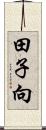 田子向 Scroll