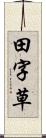 田字草 Scroll