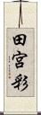 田宮彩 Scroll