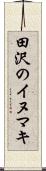 田沢のイヌマキ Scroll