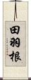 田羽根 Scroll
