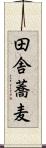 田舎蕎麦 Scroll