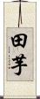 田芋 Scroll