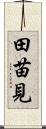 田苗見 Scroll