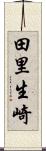 田里生崎 Scroll