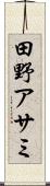 田野アサミ Scroll