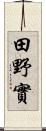 田野實 Scroll