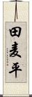 田麦平 Scroll