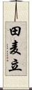 田麦立 Scroll