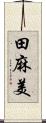 田麻美 Scroll