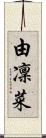 由凜菜 Scroll