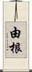 由根 Scroll