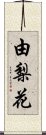 由梨花 Scroll